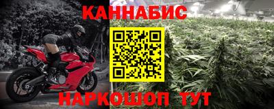 индика Будённовск
